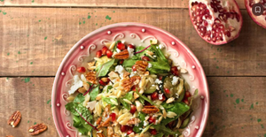 Salada de Orzo com Cranberries e Nozes-Pecã: Uma Receita Colorida, Cremosa e Cheia de Sabor!