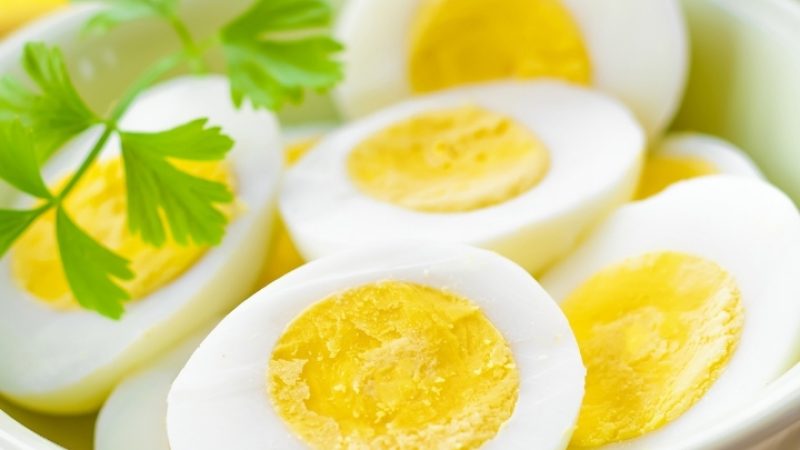 dieta do ovo de três dias
