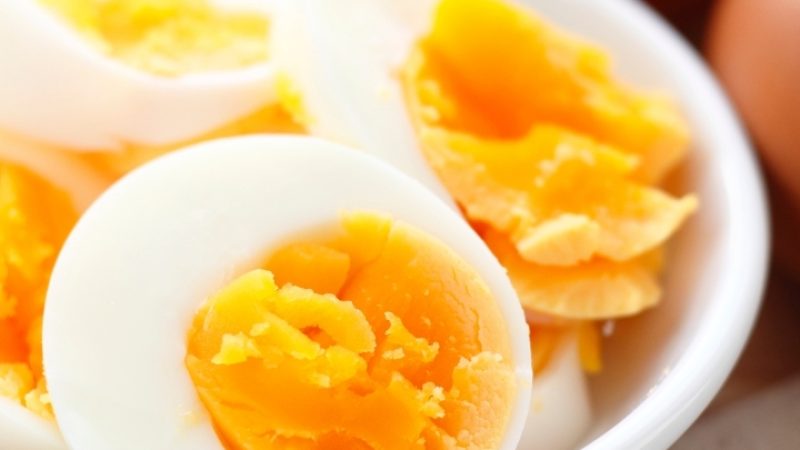 dieta do ovo